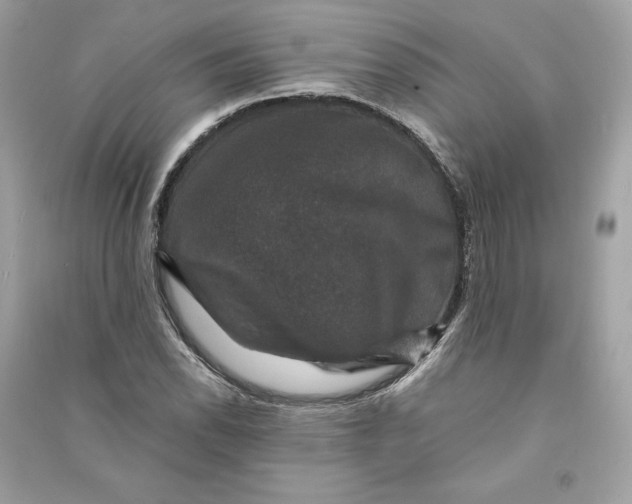 X0000090761118200708101741