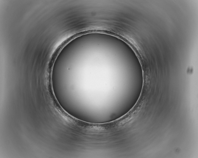 X0000090761119200708101741