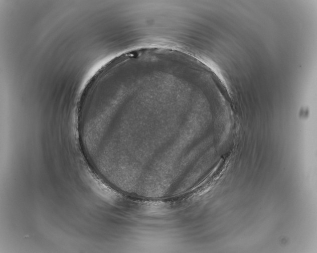 X0000090761120200708101741