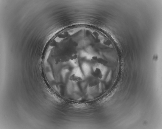 X0000090761121200708101741