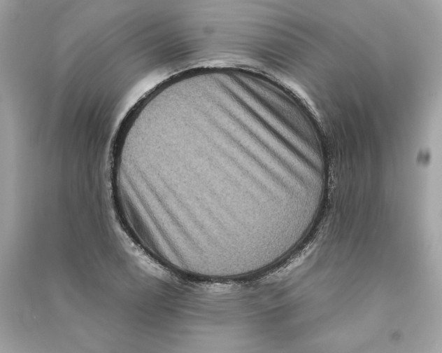 X0000090761122200708101741