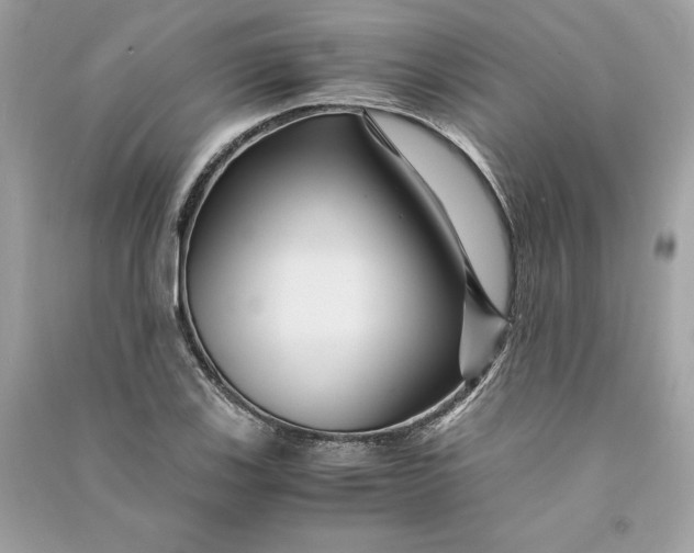 X0000090761123200708101741