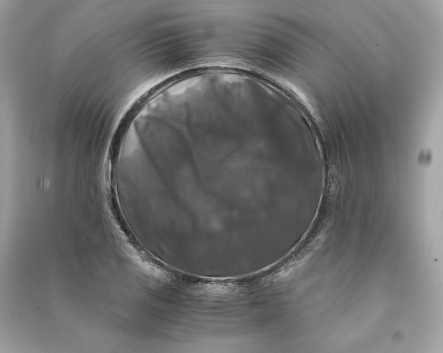 X0000090761125200708101741