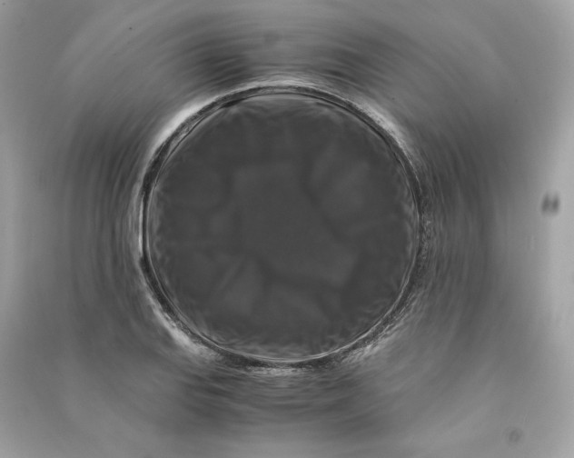 X0000090761127200708101741