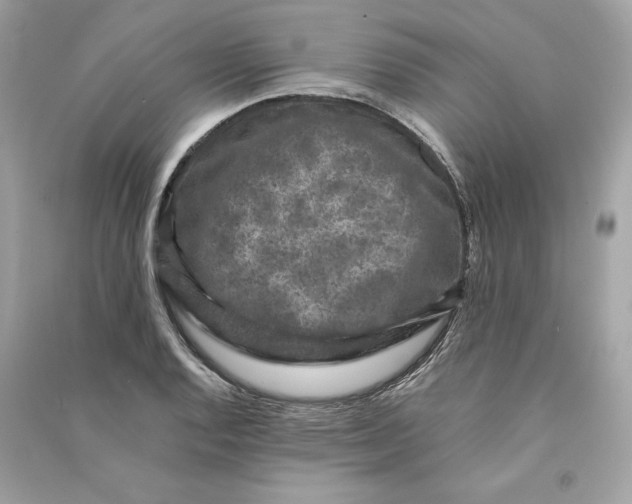 X0000090761128200708101741