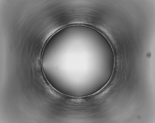 X0000090761129200708101741