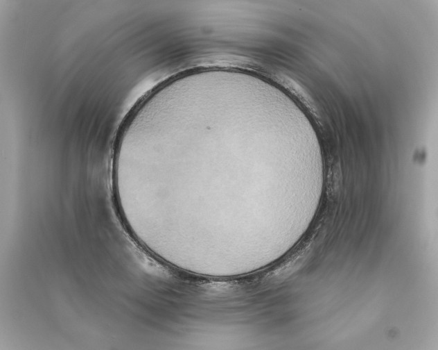 X0000090761130200708101741