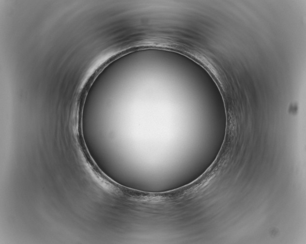 X0000090761131200708101741