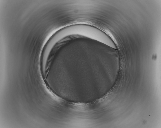 X0000090761132200708101741