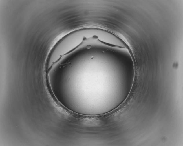 X0000090761133200708101741