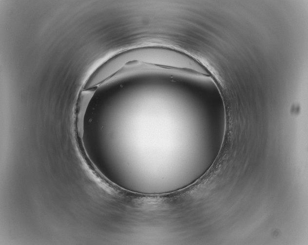 X0000090761134200708101741