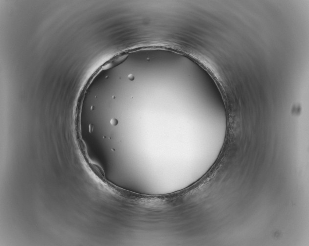 X0000090761135200708101741