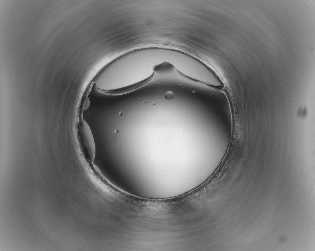 X0000090761136200708101741