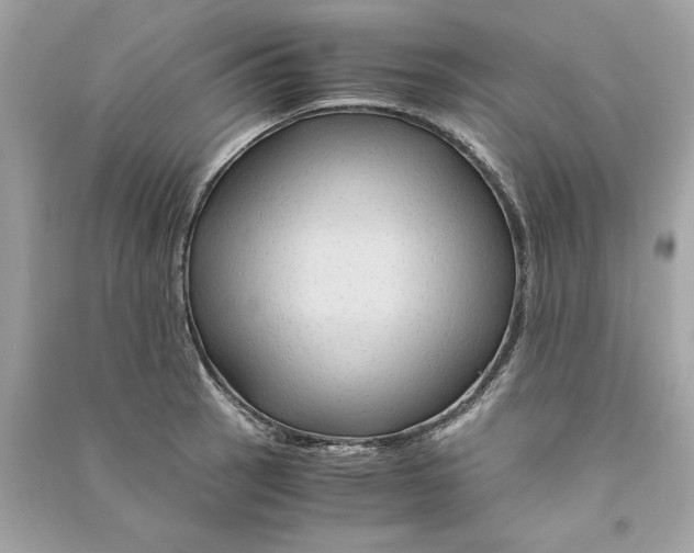 X0000090761137200708101741