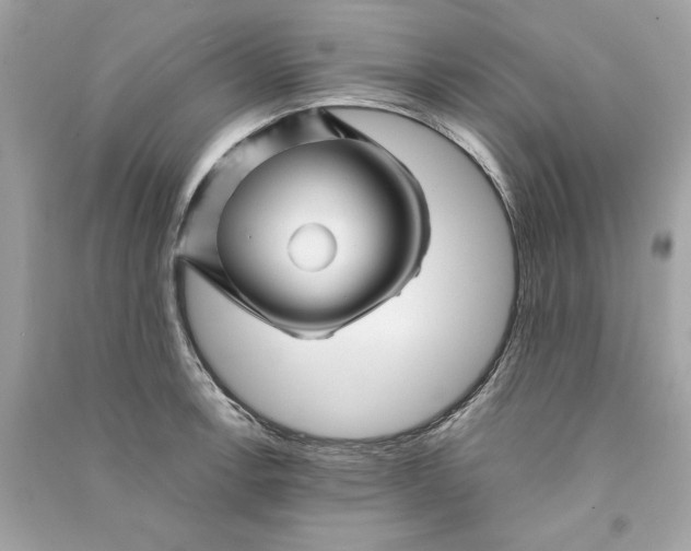 X0000090761138200708101741