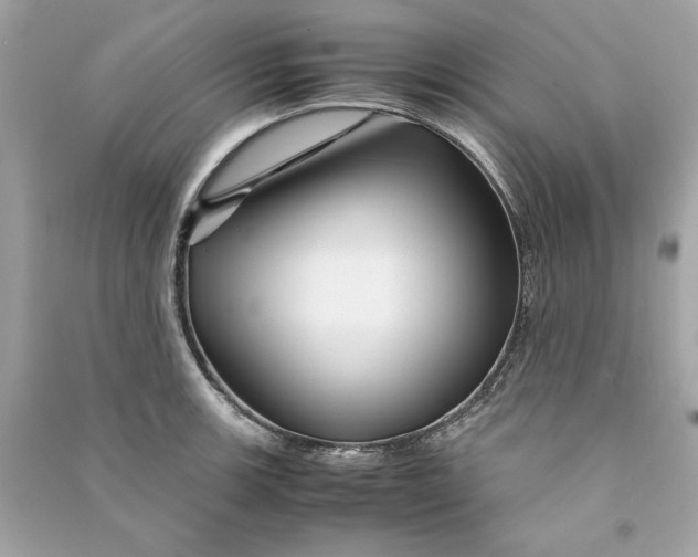 X0000090761139200708101741