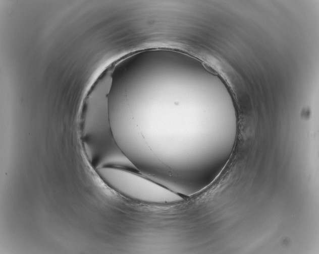 X0000090761140200708101741