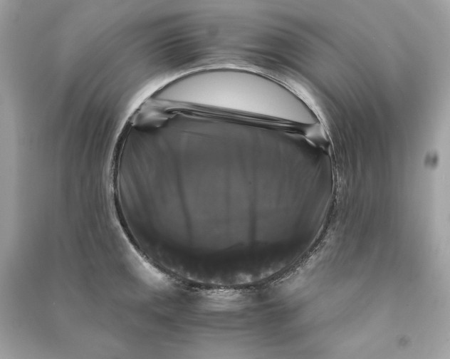 X0000090761141200708101741