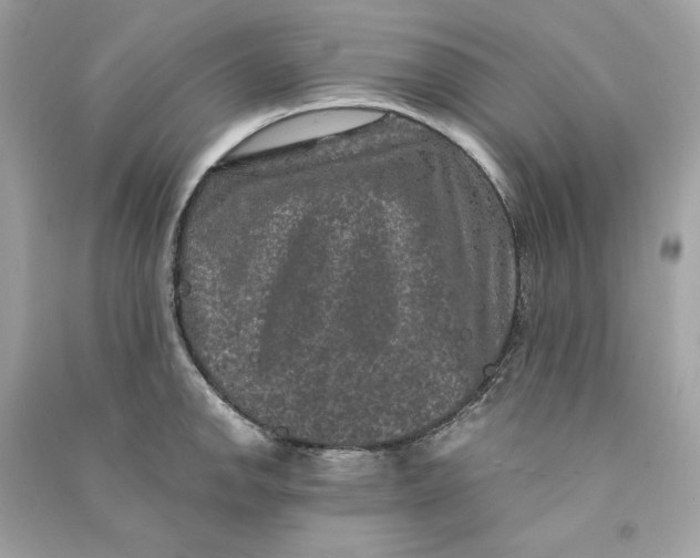 X0000090761142200708101741