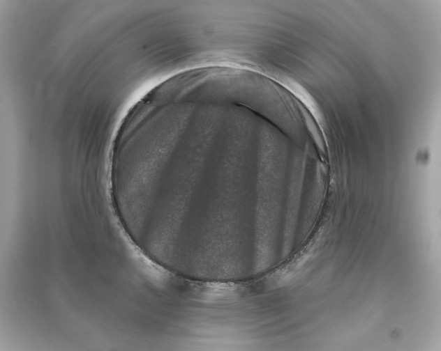 X0000090761144200708101741