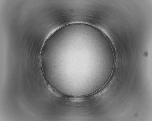 X0000090761145200708101741