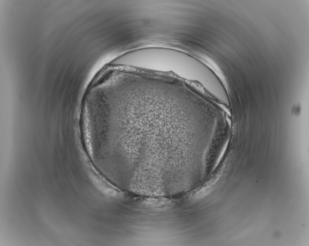 X0000090761146200708101741