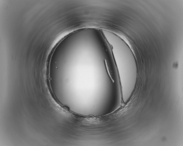 X0000090761147200708101741