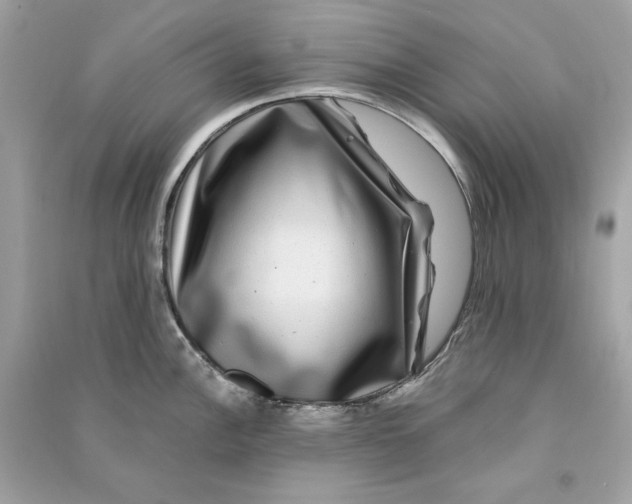 X0000090761148200708101741