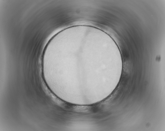 X0000090761150200708101741