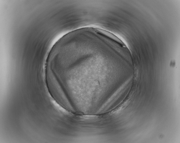 X0000090761151200708101741