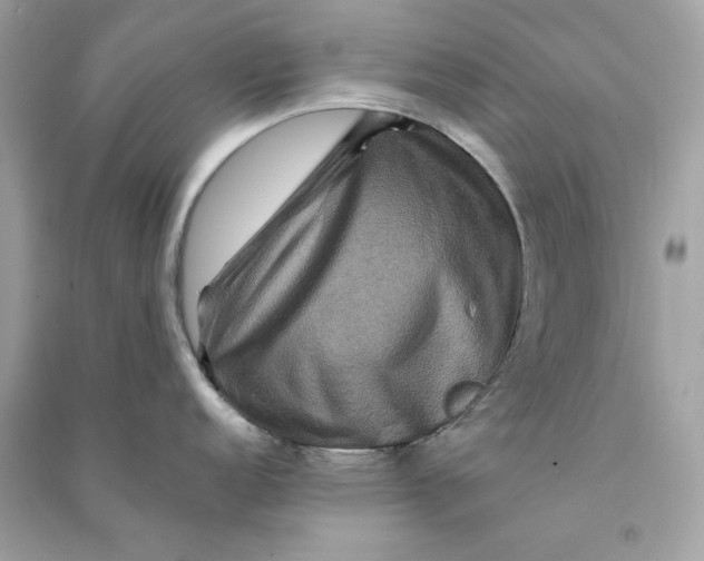 X0000090761152200708101741