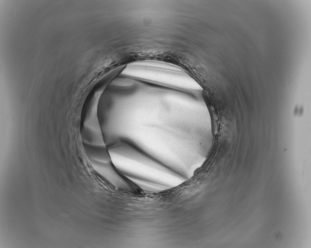 X0000090761153200708101741