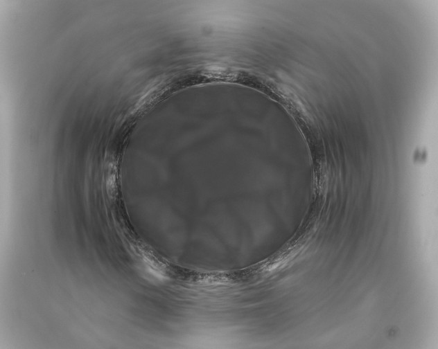 X0000090761154200708101741