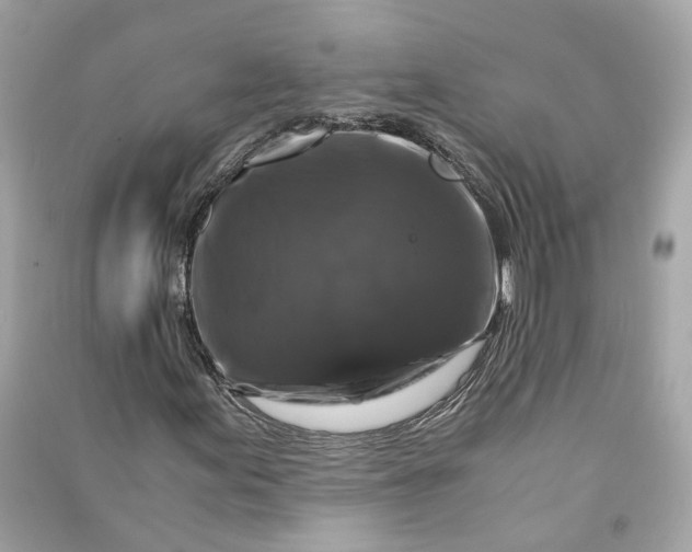 X0000090761155200708101741