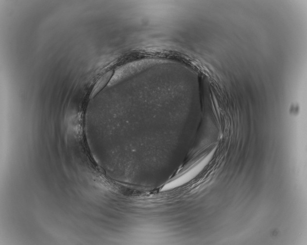 X0000090761156200708101741