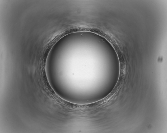 X0000090761157200708101741