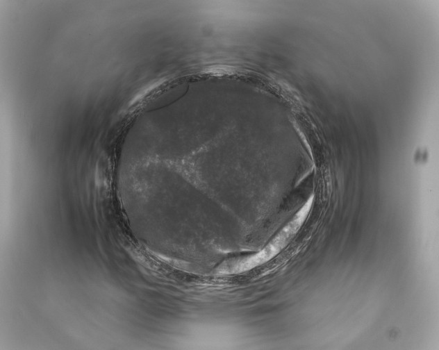 X0000090761158200708101741