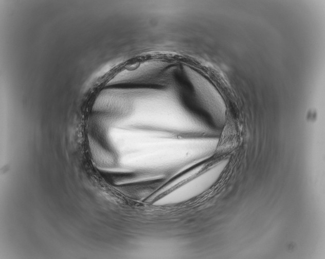 X0000090761159200708101741