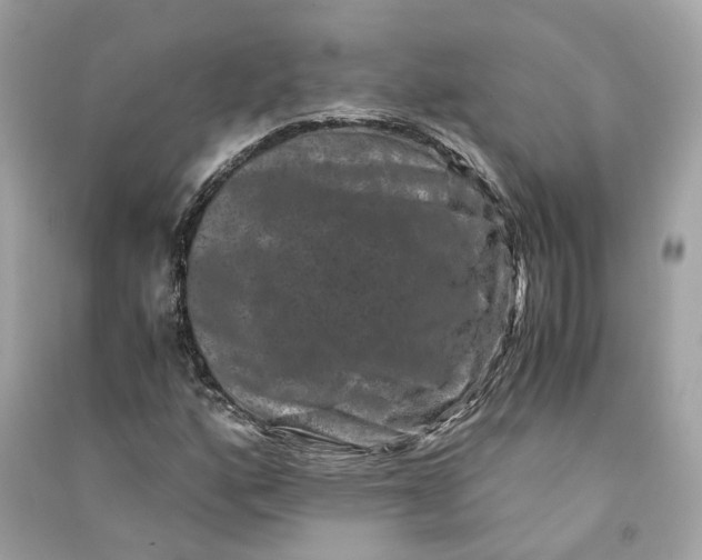 X0000090761160200708101741