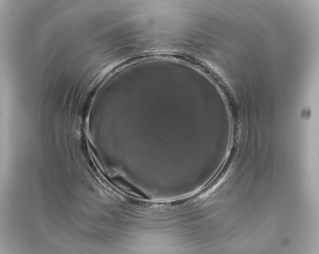 X0000090761161200708101741