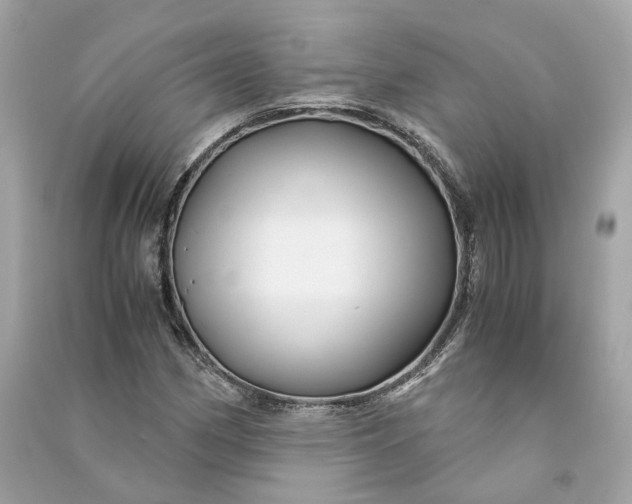 X0000090761162200708101741