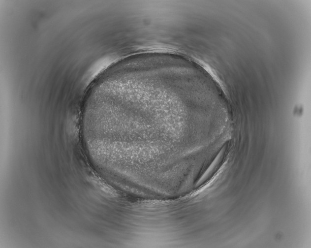 X0000090761163200708101741