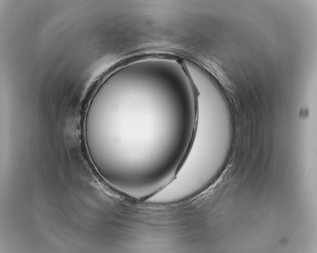 X0000090761164200708101741