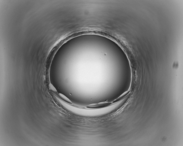 X0000090761165200708101741