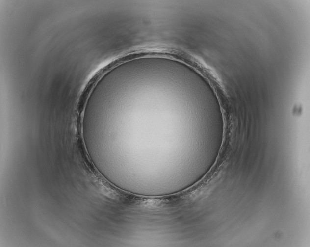 X0000090761166200708101741