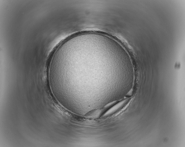 X0000090761167200708101741