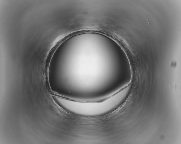 X0000090761168200708101741