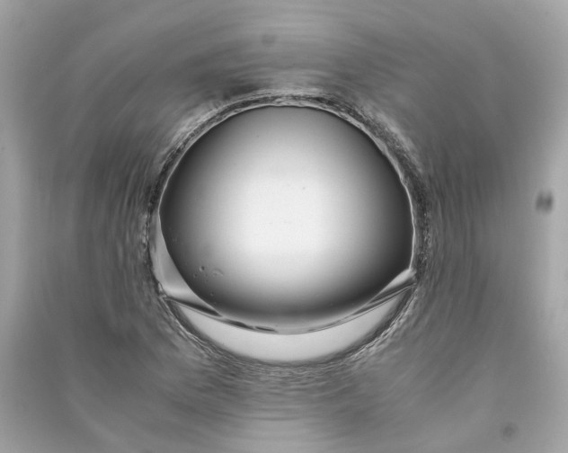 X0000090761169200708101741