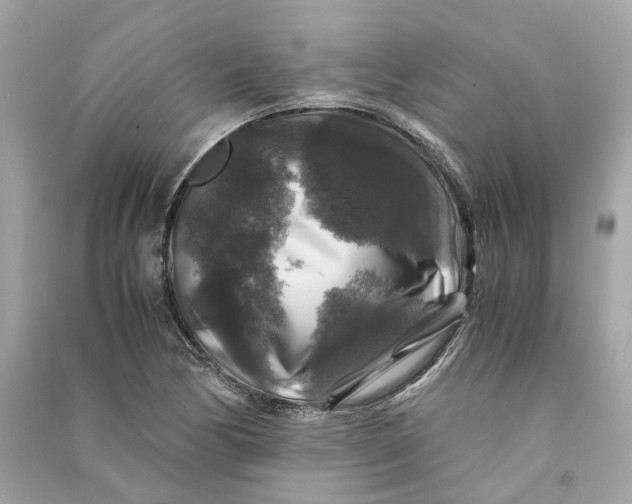 X0000090761170200708101741