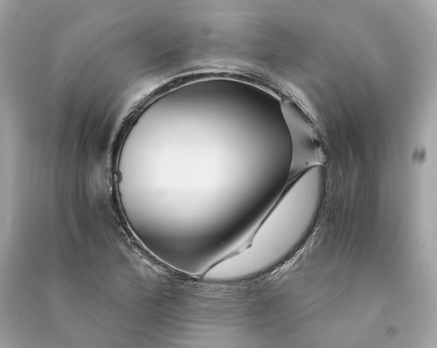 X0000090761172200708101740